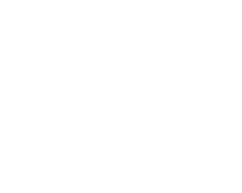 Игрушка